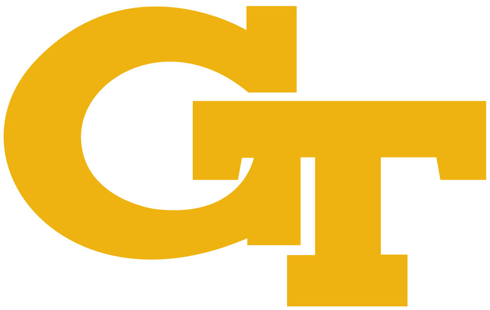 Georgia Tech Yellow Jackets 1969-Pres Alternate Logo v2 diy iron on heat transfer